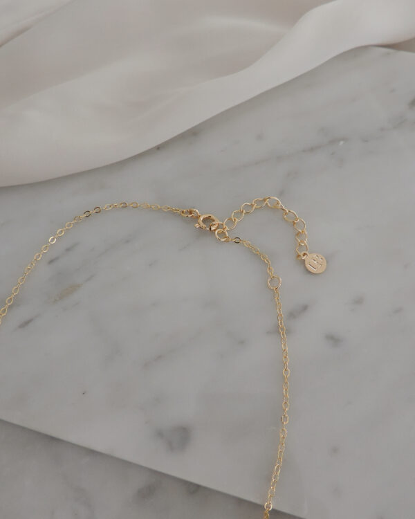 Collar Rob - Imagen 3