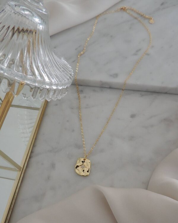 Collar Pip - Imagen 2