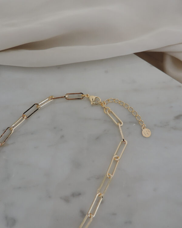 Collar Foster - Imagen 4